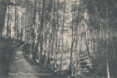 Hauptmann_Heinrich (948)