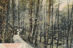 Hauptmann_Heinrich (949)