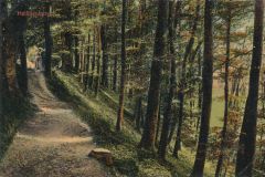 Hauptmann_Heinrich (950)
