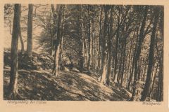 Hauptmann_Heinrich (952)