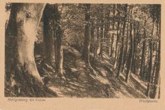 Hauptmann_Heinrich (953)