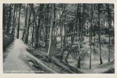 Hauptmann_Heinrich (954)