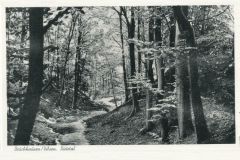 Hauptmann_Heinrich (956)
