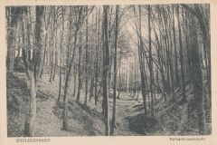 Hauptmann_Heinrich (959)