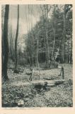 Hauptmann_Heinrich (960)