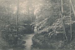 Hauptmann_Heinrich (962)