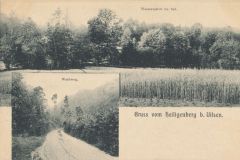 Hauptmann_Heinrich (964)