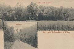 Hauptmann_Heinrich (965)