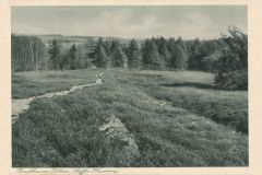 Hauptmann_Heinrich (970)