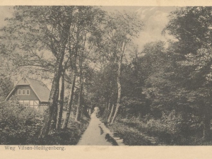 Hauptmann_Heinrich (766)