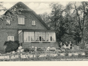 Hauptmann_Heinrich (804)