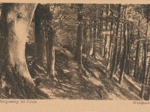 Hauptmann_Heinrich (953)