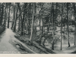Hauptmann_Heinrich (954)