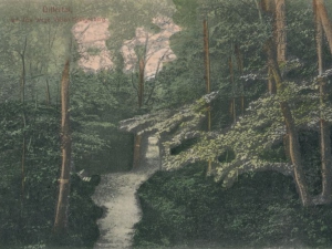 Hauptmann_Heinrich (955)