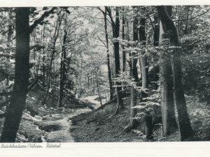 Hauptmann_Heinrich (956)