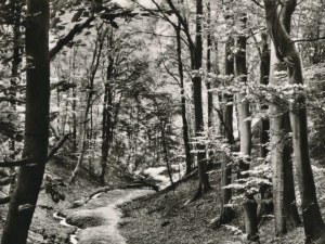 Hauptmann_Heinrich (957)