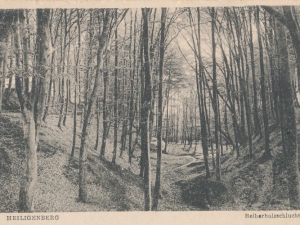 Hauptmann_Heinrich (959)