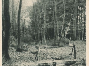 Hauptmann_Heinrich (960)