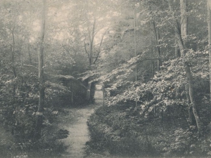 Hauptmann_Heinrich (962)