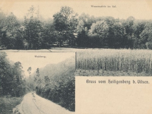 Hauptmann_Heinrich (964)