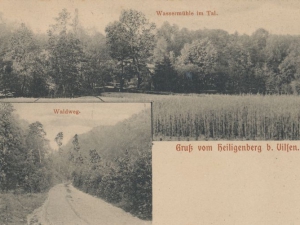 Hauptmann_Heinrich (965)