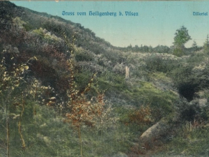 Hauptmann_Heinrich (969)