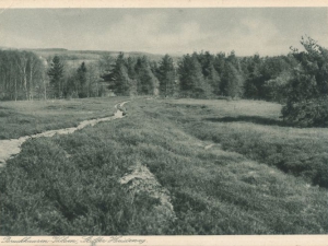 Hauptmann_Heinrich (970)