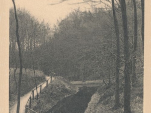 Hauptmann_Heinrich (976)