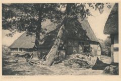 Hauptmann_Heinrich (1111)