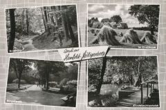 Hauptmann_Heinrich (757)