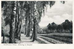Hauptmann_Heinrich (772)