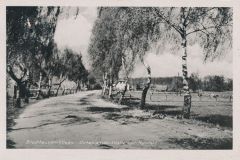 Hauptmann_Heinrich (776)