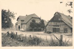Hauptmann_Heinrich (789)