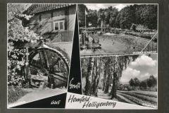 Hauptmann_Heinrich (850)