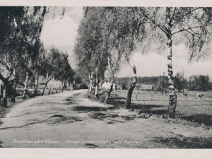 Hauptmann_Heinrich (776)