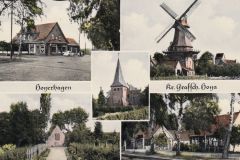 Wolters_Volker (277)