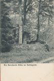 Wolters_Volker (340)