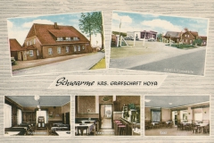 Peimann-10009