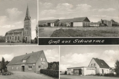 Meyer_Agnes (1)