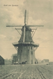 hauptmann_heinrich-72