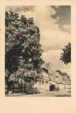Hauptmann_Heinrich (423)