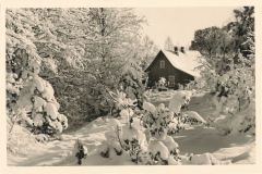 Hauptmann_Heinrich (488)