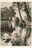 Hauptmann_Heinrich (674)