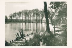 Hauptmann_Heinrich (677)