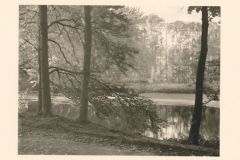 Hauptmann_Heinrich (723)
