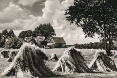 Hauptmann_Heinrich (727)