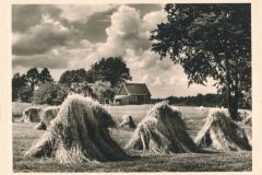 Hauptmann_Heinrich (728)
