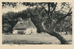 Hauptmann_Heinrich (733)