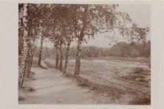 Hauptmann_Heinrich (738)