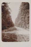 Hauptmann_Heinrich (743)